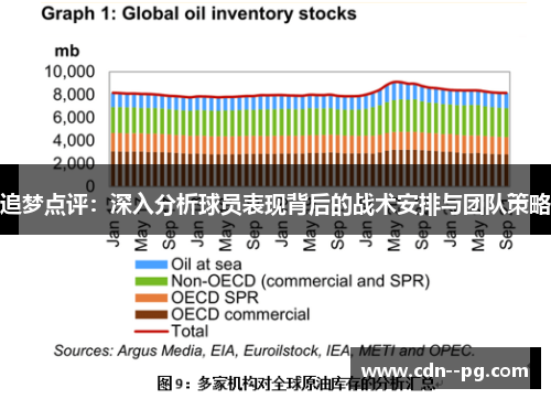 追梦点评：深入分析球员表现背后的战术安排与团队策略