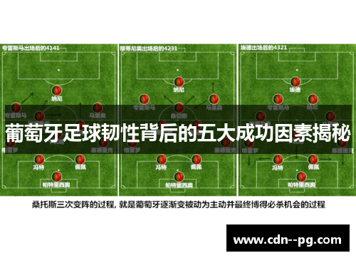 葡萄牙足球韧性背后的五大成功因素揭秘