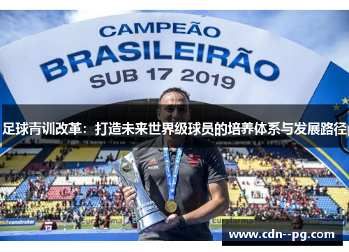 足球青训改革：打造未来世界级球员的培养体系与发展路径