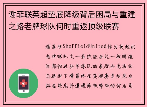 谢菲联英超垫底降级背后困局与重建之路老牌球队何时重返顶级联赛